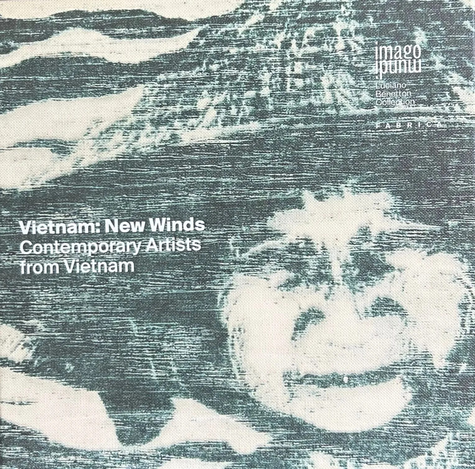 Vietnam: New Winds — Contemporary Artists from Vietnam (Imago Mundi, Benetton Foundation)